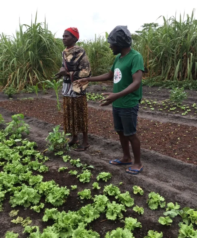 Assistência técnica a um pequeno produtor numa área de cultivo